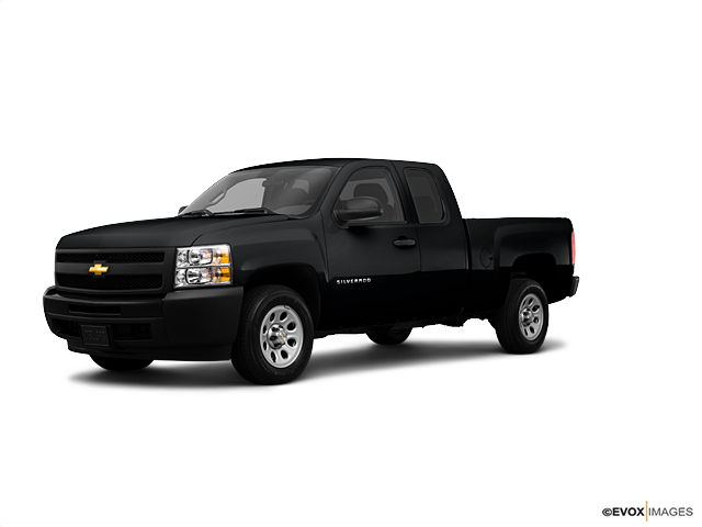 2010 Chevrolet Silverado 1500 Vehicle Photo in Willoughby Hills, OH 44092