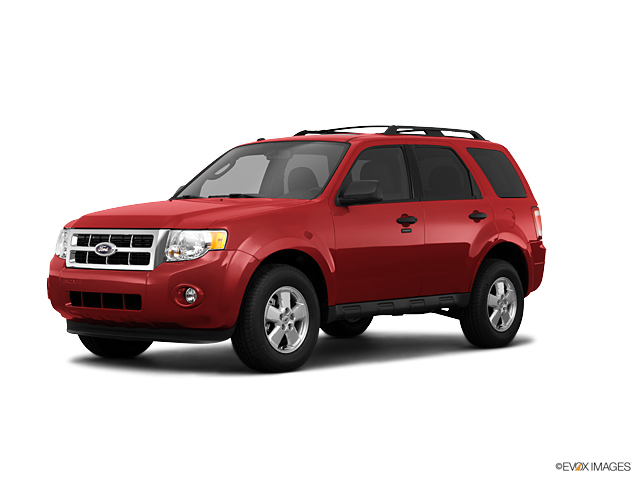 2011 Ford Escape Vehicle Photo in Medina, OH 44256