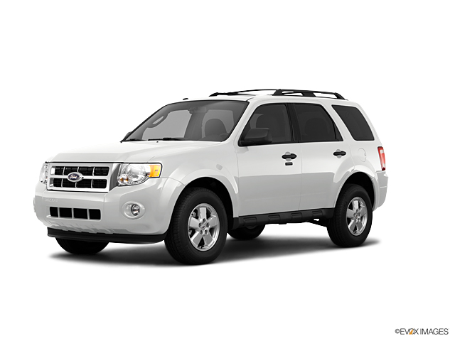 2011 Ford Escape Vehicle Photo in Medina, OH 44256
