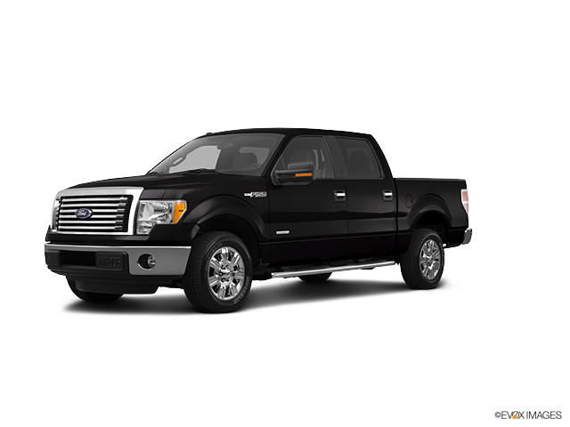 2012 Ford F-150 Vehicle Photo in Independence, MO 64055