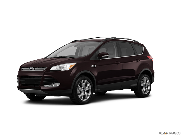 2013 Ford Escape Vehicle Photo in Janesville, WI 53545