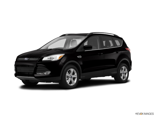 2014 Ford Escape Vehicle Photo in Independence, MO 64055