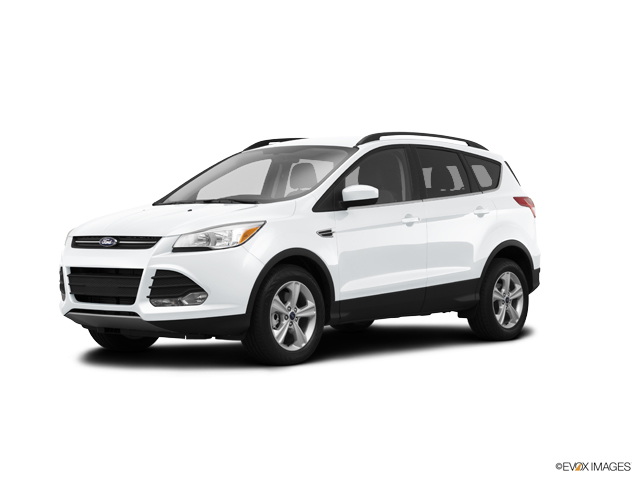 2014 Ford Escape Vehicle Photo in Bloomington, IN 47403