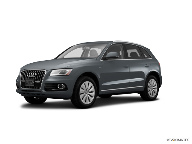 2014 Audi Q5 Vehicle Photo in Charlotte, NC 28269