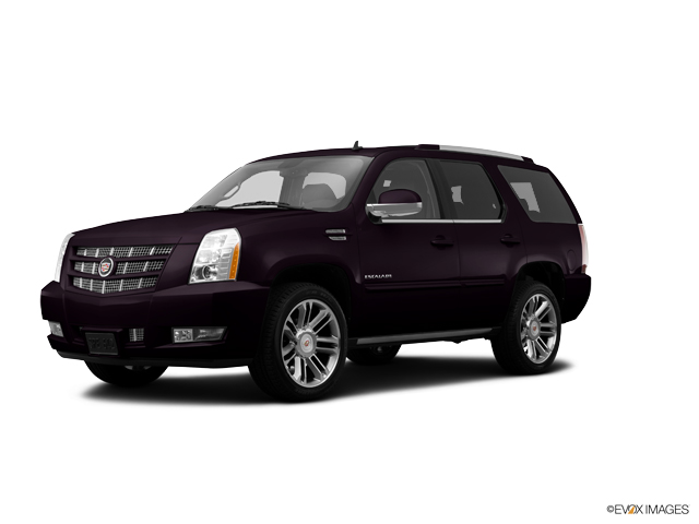 2014 Cadillac Escalade Vehicle Photo in Southborough, MA 01772