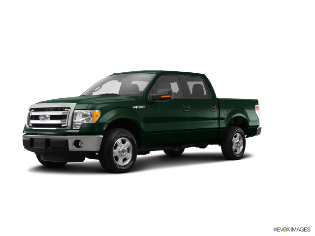 2014 Ford F-150 Vehicle Photo in Hudsonville, MI 49426