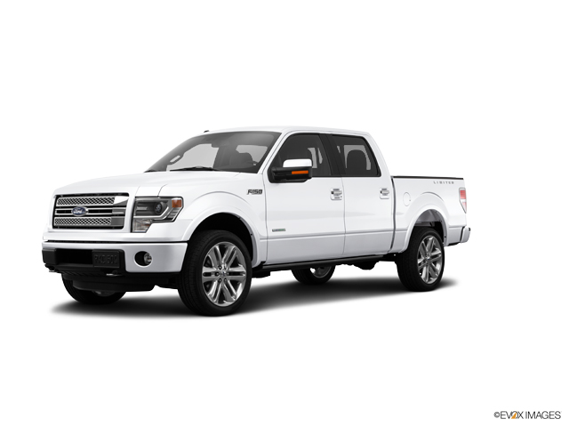 2014 Ford F-150 Vehicle Photo in Selma, TX 78154