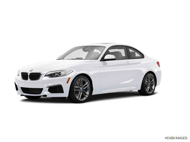 2015 BMW 228i xDrive Vehicle Photo in Allentown, PA 18103