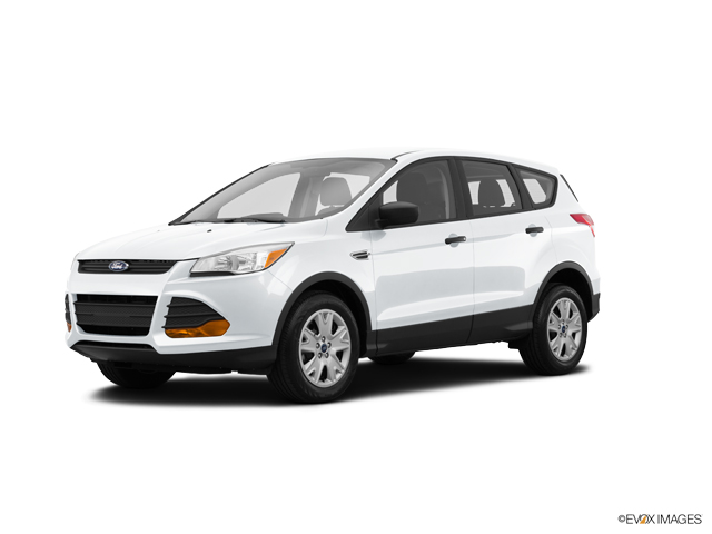 2015 Ford Escape Vehicle Photo in Lees Summit, MO 64086