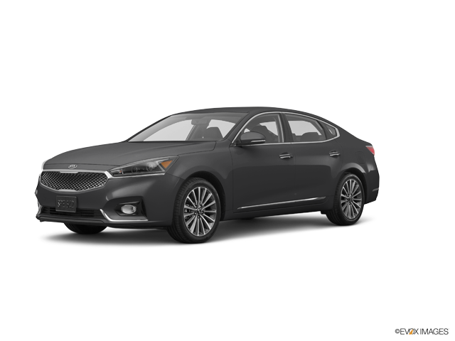 Cadenza Premium Platinum Graphite