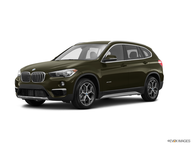 X1 sDrive28i Sports Activity Vehicle Dark Olive Metallic