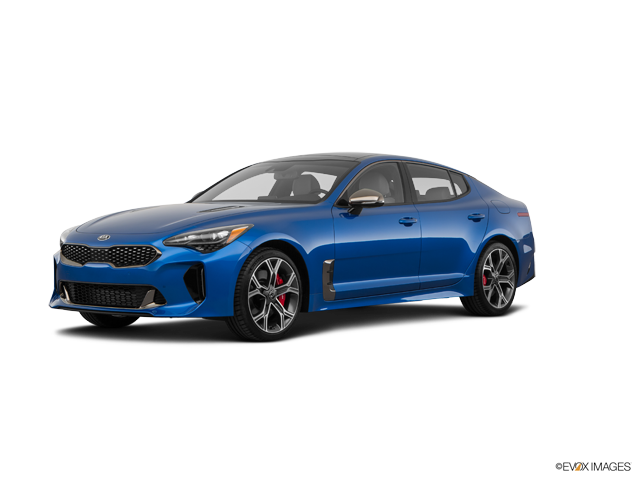 Stinger Base Micro Blue