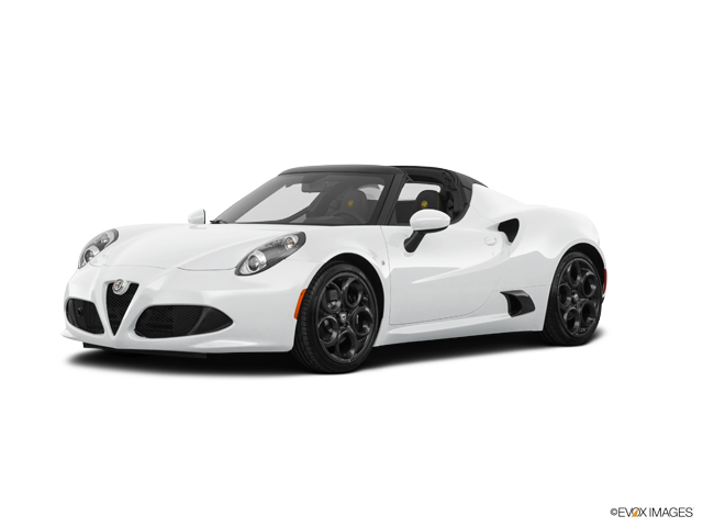 4C Spider Spider White