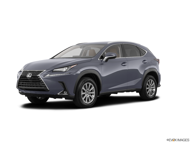 NX 300 F Sport Nebula Gray Pearl