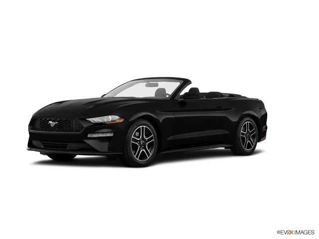Crain Ford Jacksonville Ar >> Ford Dealer Jacksonville AR | New Ford, Certified Used & Pre-Owned Car Dealership Serving Little ... Crain Ford Jacksonville Ar >> Ford Dealer Jacksonville AR | New Ford, Certified Used & Pre-Owned Car Dealership Serving Little ...