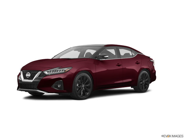 Maxima S Carnelian Red Tintcoat