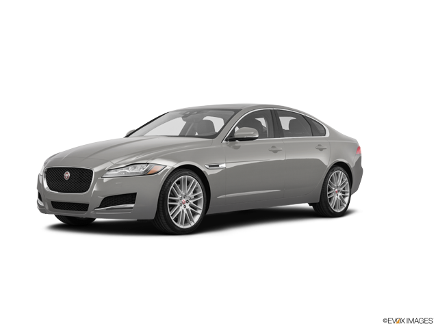 XF 25t Premium Silicon Silver Premium Metallic