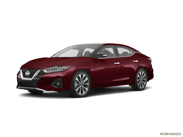 Maxima S Carnelian Red Tintcoat