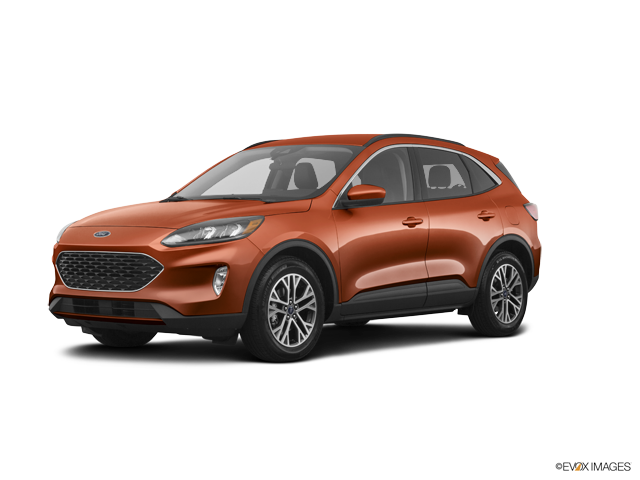Twin Cities Ford Dealers >> Ford Dealer Red Wing Mn House Ford Twin Cities Ford Dealers >> Ford Dealer Red Wing Mn House Ford
